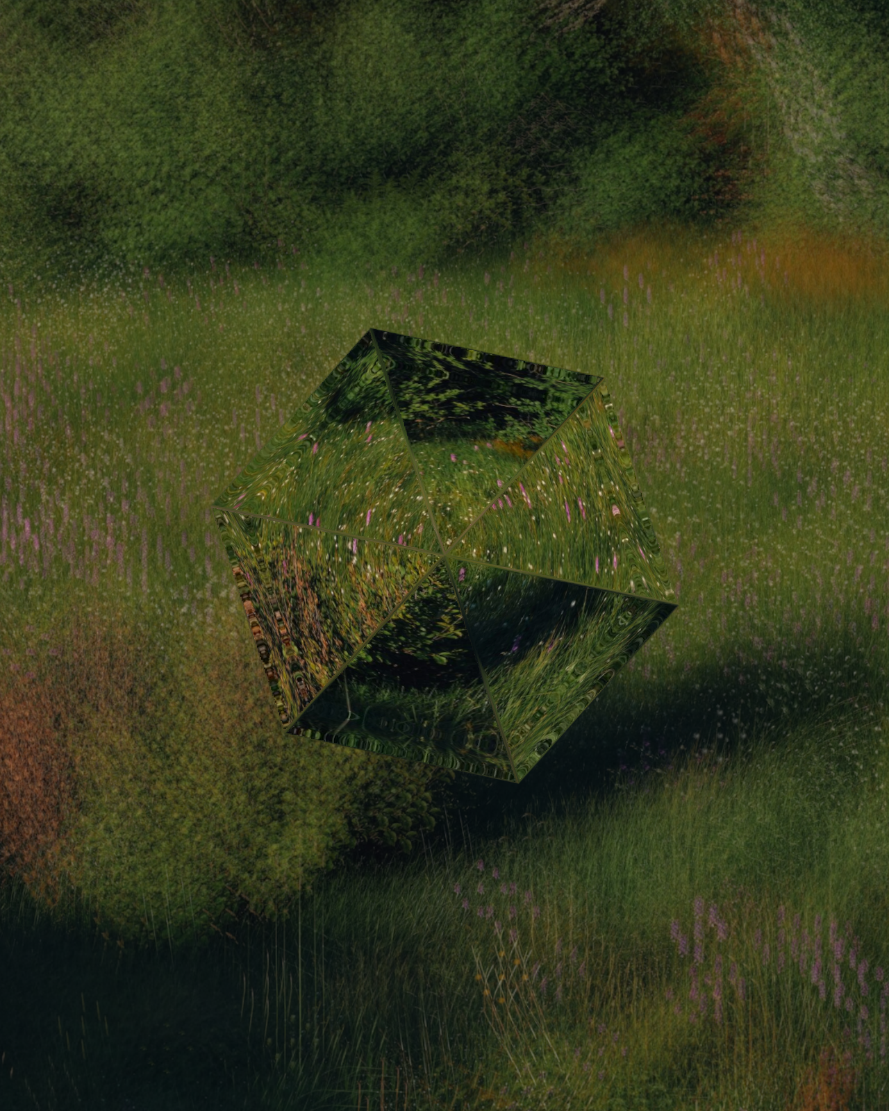 Crystal_effect_garden